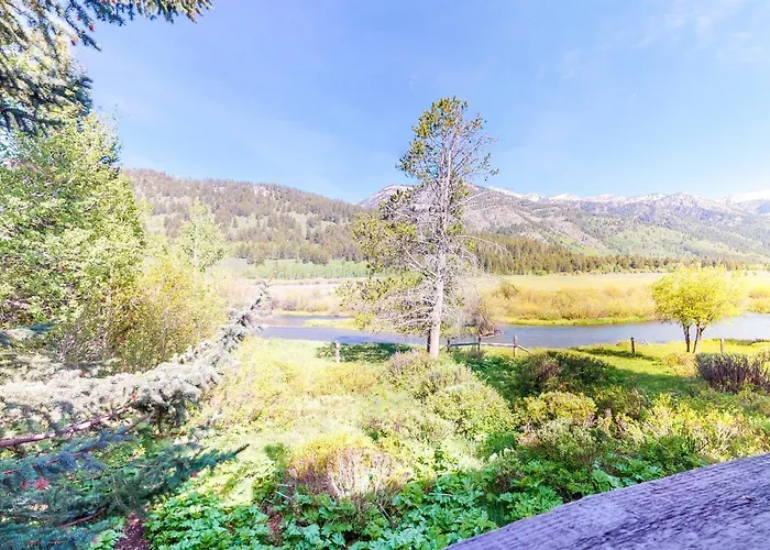 3223 Thimbleberry